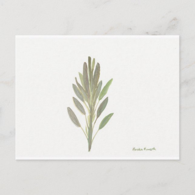 Druck der botanischen Pflanze der Käferhütte Postkarte (Vorderseite)