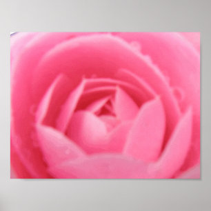Druck der rosa Kamelie Poster