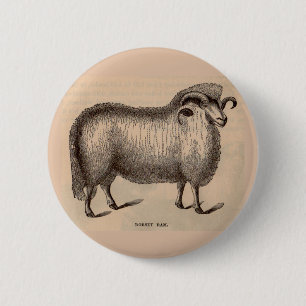 Druck Dorset ram aus dem 19. Jahrhundert Button