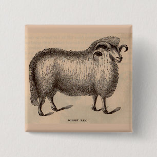 Druck Dorset ram aus dem 19. Jahrhundert Button