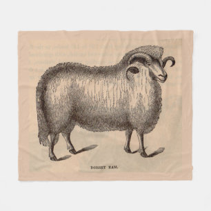 Druck Dorset ram aus dem 19. Jahrhundert Fleecedecke