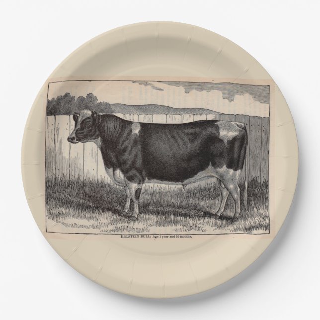 Druck Holstein Bull aus dem 19. Jahrhundert Pappteller (Vorderseite)
