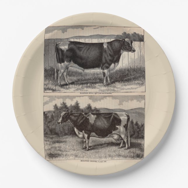 Druck Holstein Bull und Heifer aus dem 19. Jahrhun Pappteller (Vorderseite)