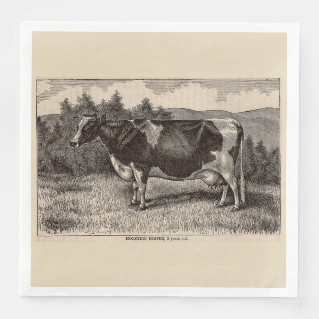Druck Holstein heifer aus dem 19. Jahrhundert Serviette (Vorderseite)