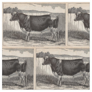 Druck Holstein-Stier des 19. Jahrhunderts Stoff