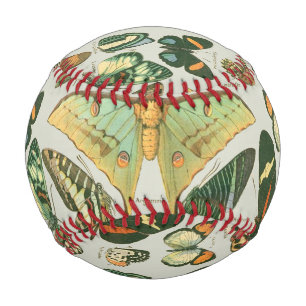 Druck im Muster alter Schmetterlinge und Motten Baseball