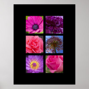 Druck-- rosa und lila Blumen Poster