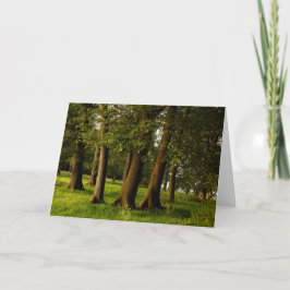 Druck uralter Eichenwälder Karte