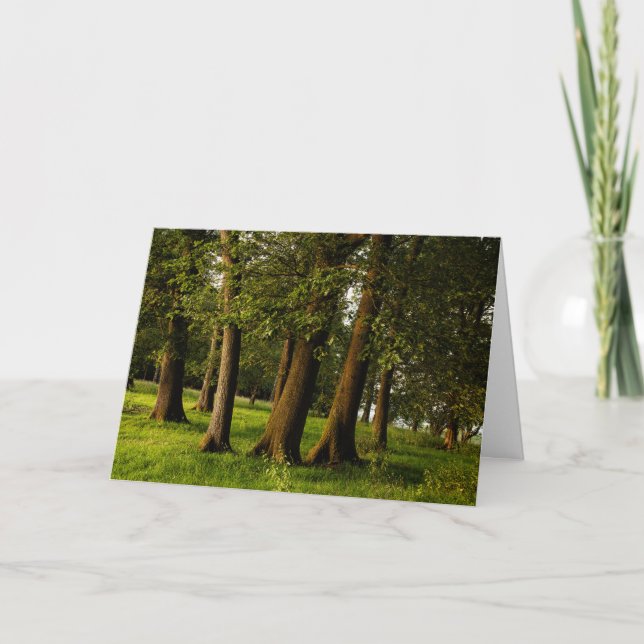Druck uralter Eichenwälder Karte (Vorderseite)