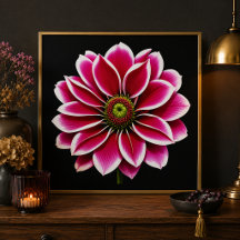 Druck von Pink Dahlia Bloom in Fine Art