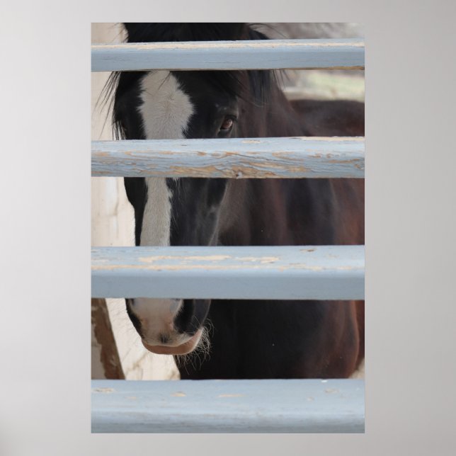 Druck, Wertposter-Papier (Halbglanz) Poster (Vorne)