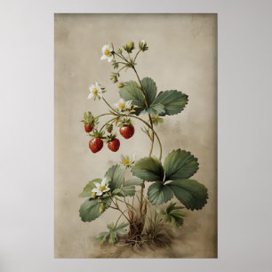 Druckbares Erdbeeren-Wandkunstwerk, Antik Poster