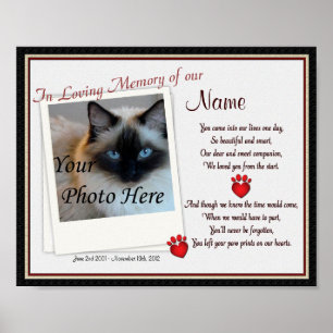 Drucken auf dem Memorial für Herzklopfen - Katze f Poster