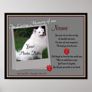 Drucken auf dem Memorial für Herzklopfen - Katze f Poster