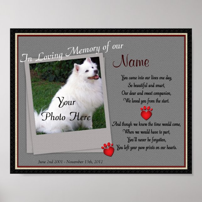Drucken auf dem Memorial für Herzklopfen - Katze f Poster (Vorne)