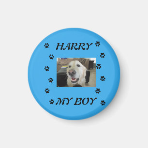 Drucken mit Foto und Name des Haustiers Magnet