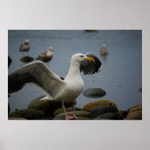 Drucken nicht stören poster