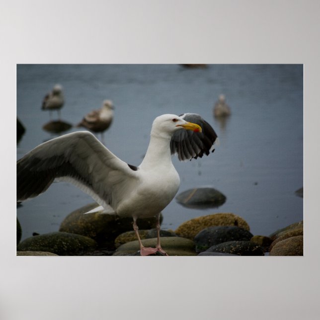 Drucken nicht stören poster (Vorne)