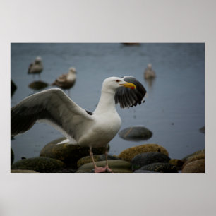 Drucken nicht stören poster