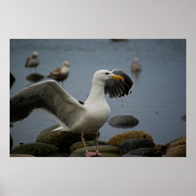 Drucken nicht stören poster (Vorne)