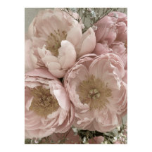 DRUCKEN | Peonies II - 24in x 32in