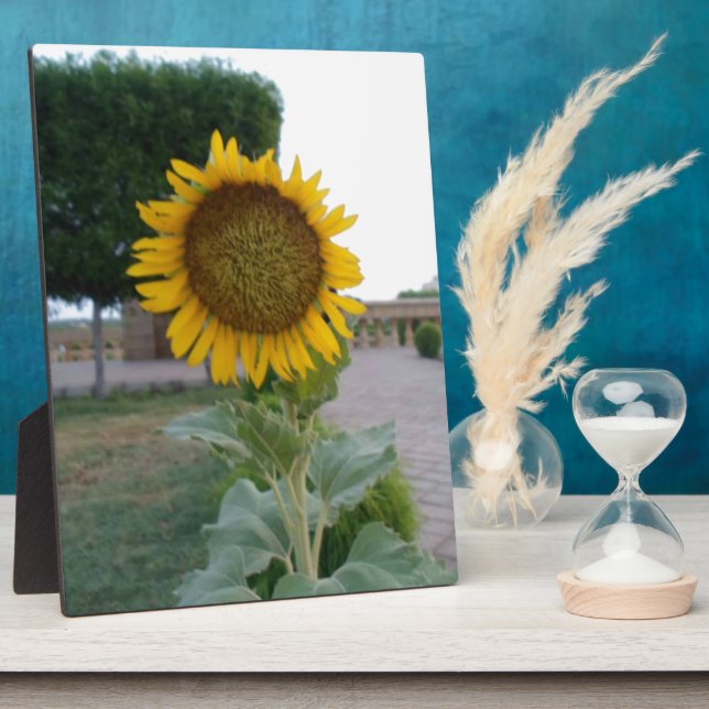 Drucken von Sonnenblumen Fotoplatte (Seite)
