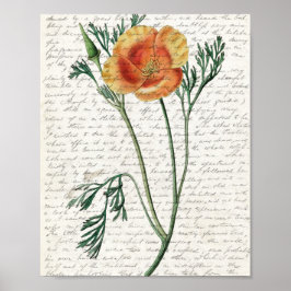 Drucken, Werteplakatpapier (Matte) Poster