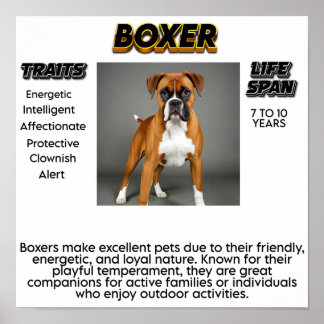 Drucken, Werteplakatpapier (Matte) Poster