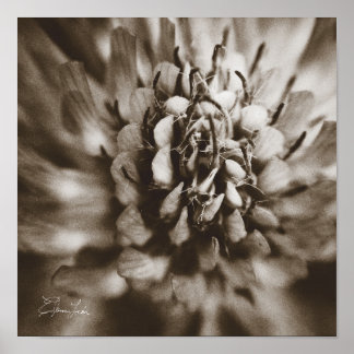 Drucken, Werteplakatpapier (Matte) Poster