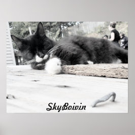 Drucken, Werteplakatpapier (Matte) Poster