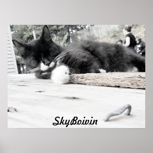 Drucken, Werteplakatpapier (Matte) Poster (Vorne)