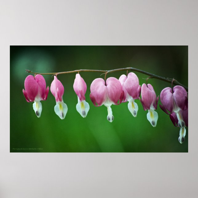 Druckfarben Poster (Vorne)