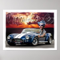 Druckregale AC Cobra