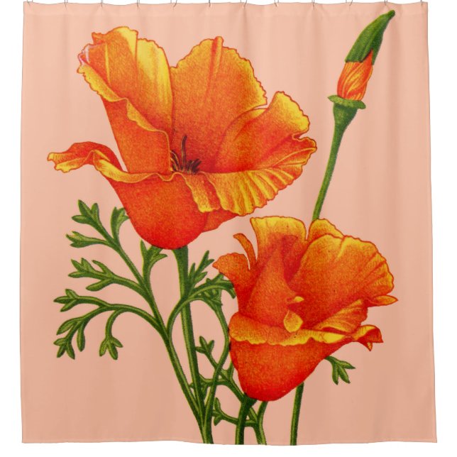 Druckschrift für kalifornische Poppies Duschvorhang (Vorderseite)