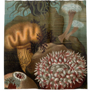 Druckseeanemonen des 19. Jahrhunderts Duschvorhang