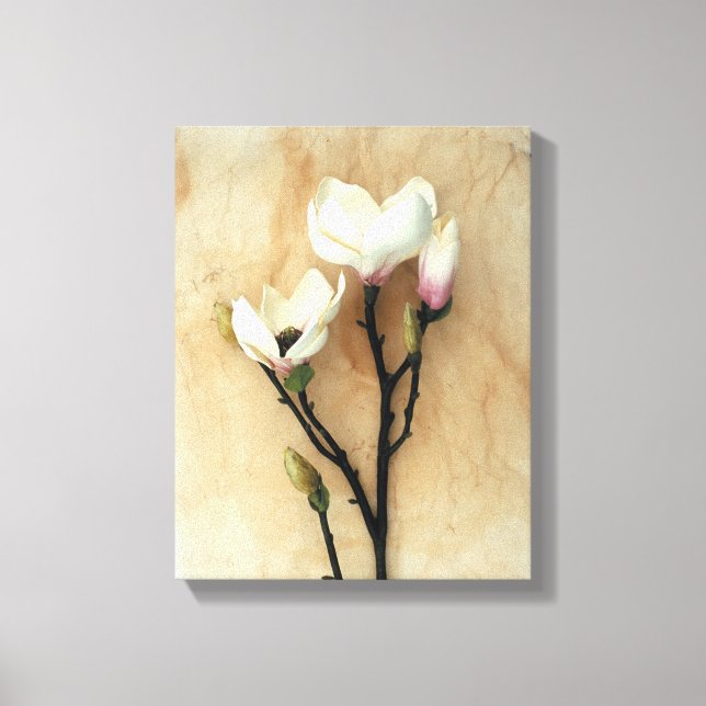 Druckwand der Magnolischen Blumenkunst Leinwanddruck (Vorderseite)