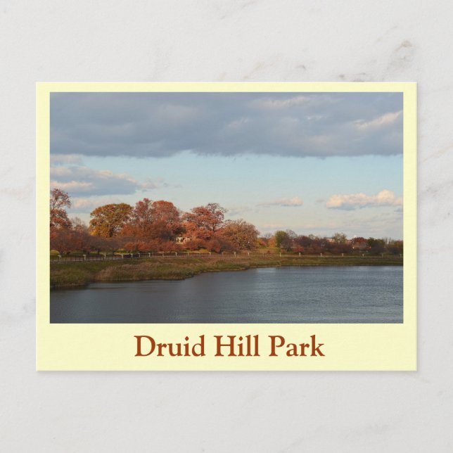 Druid Hill Park Postkarte (Vorderseite)