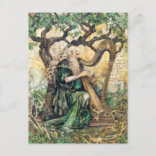 Druide keltische Weiße Priester der Natur Postkarte