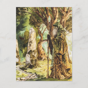 Druide keltischer weiser Priester der Natur Postkarte