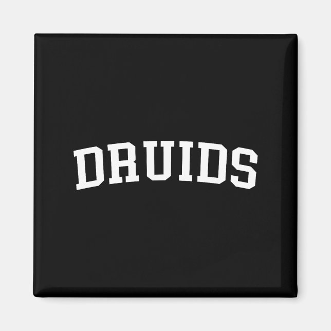 Druids  magnet (Vorne)