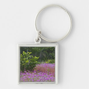 Drummond-Phlox, Phlox drummondi, Hilton Head Schlüsselanhänger