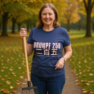 Drumpf 250 二百五 : Dumme Person Idiot Einfaltspinsel Tri-Blend Shirt