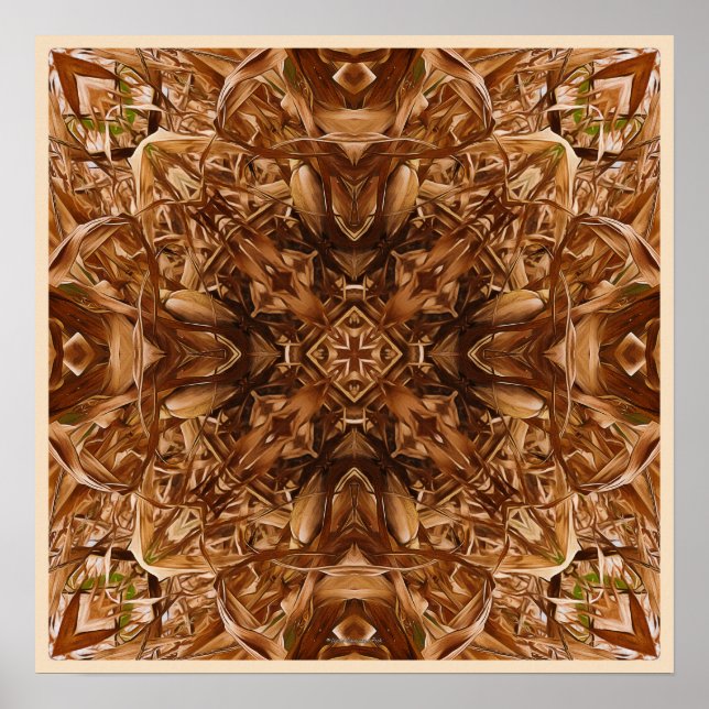 Dry Corn Husks Abstrakt 16 Poster (Vorne)