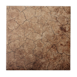 Dry Earth Fliese