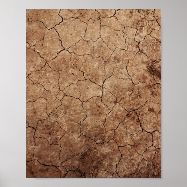 Dry Earth Poster (Vorne)
