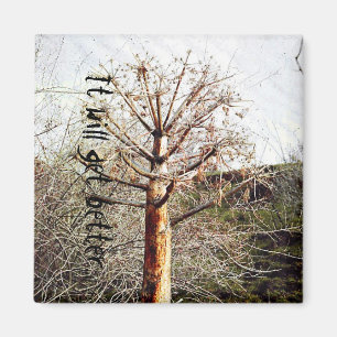 Dry Ferula Pflanze Magnet