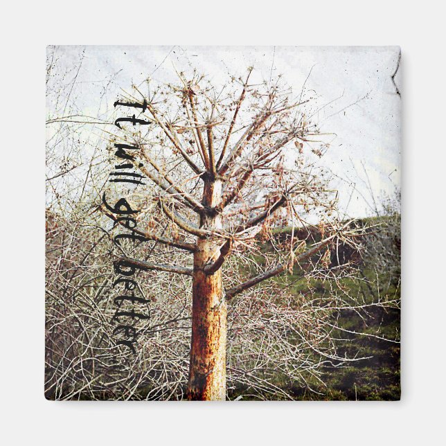 Dry Ferula Pflanze Magnet (Vorne)