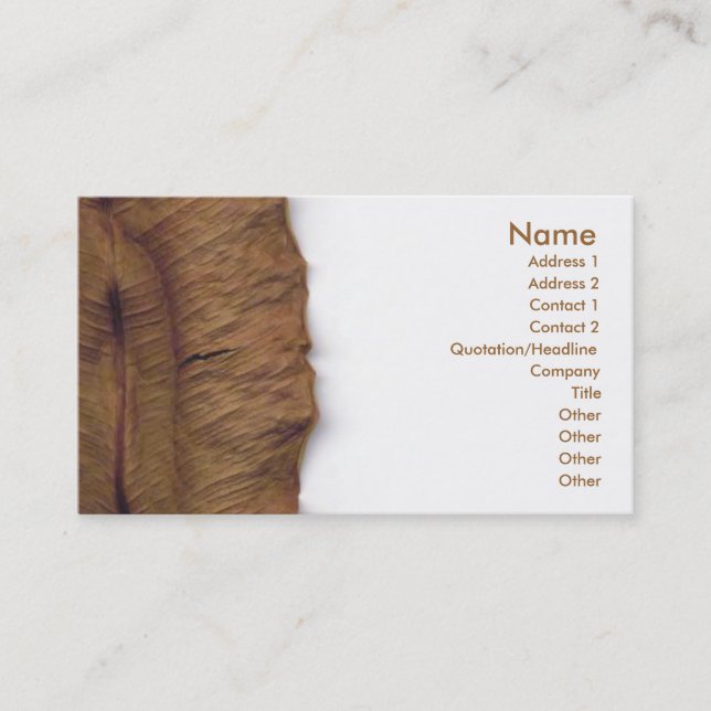 Dry Leaf Business Card Visitenkarte (Vorderseite)