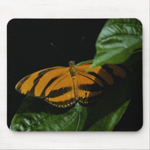 Dryad Mousepad