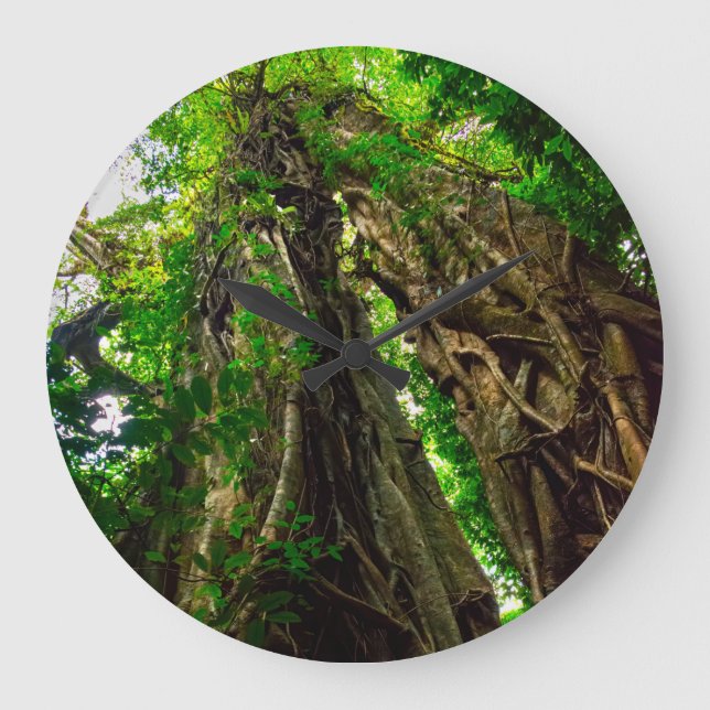 Dryad Strangler fig tree Große Wanduhr (Vorderseite)